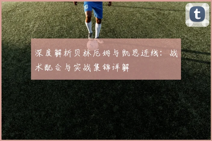 深度解析贝林厄姆与凯恩连线:战术配合与实战集锦详解